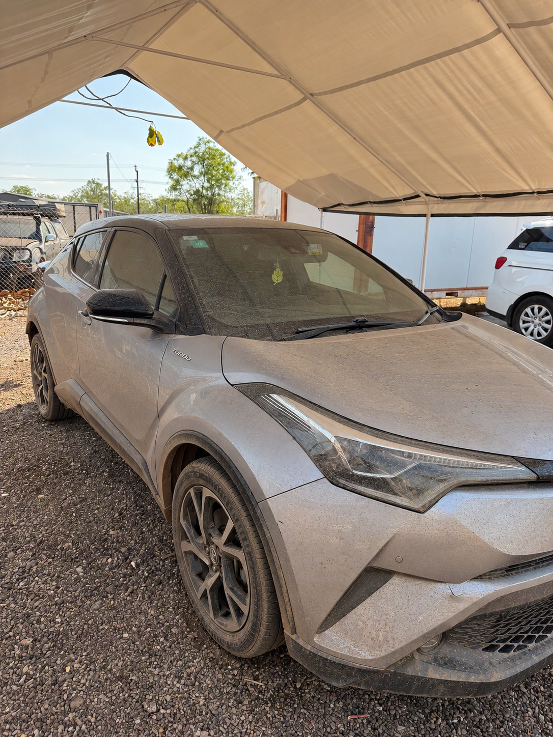 Vehicle paint before RLP Detailing paint reset